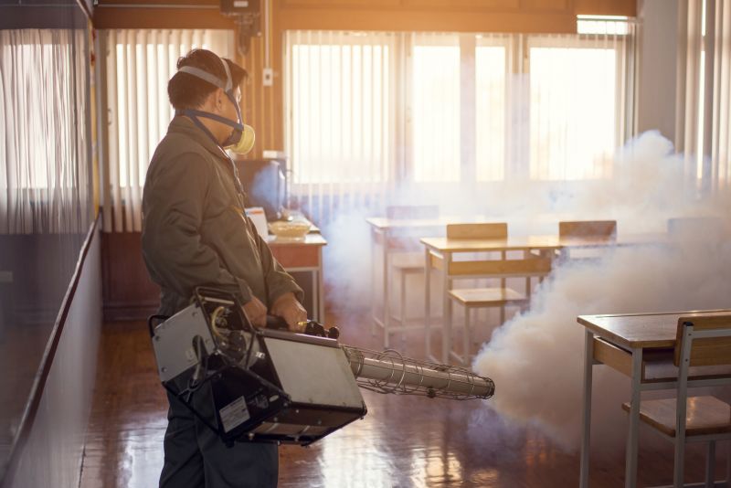Bug And Insect Prevention Strategies