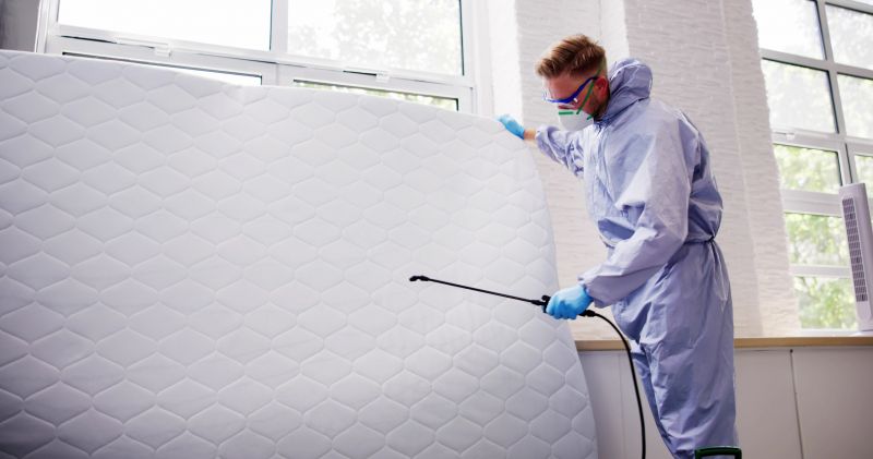 Bug And Insect Prevention Strategies