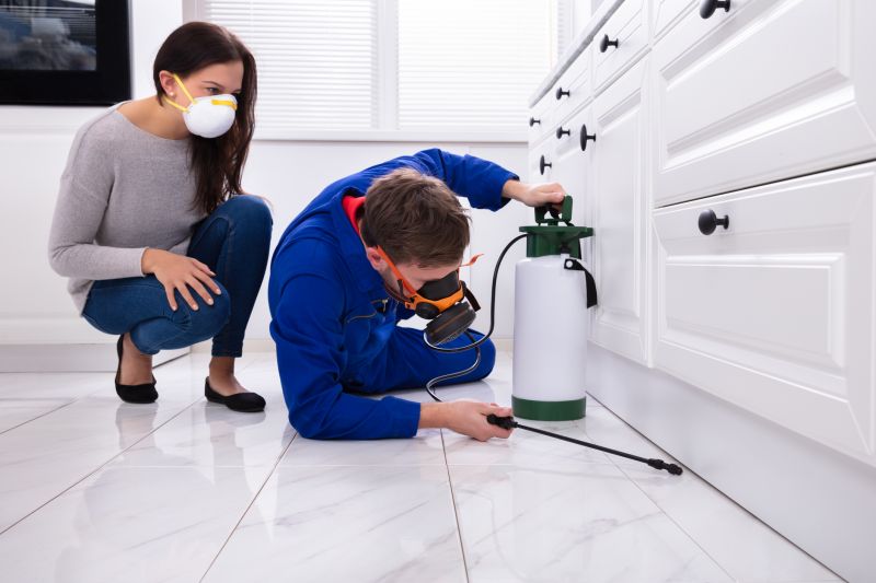 Common Bugs And Insects That Invade Homes