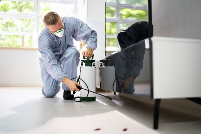 Common Pests That Invade Homes