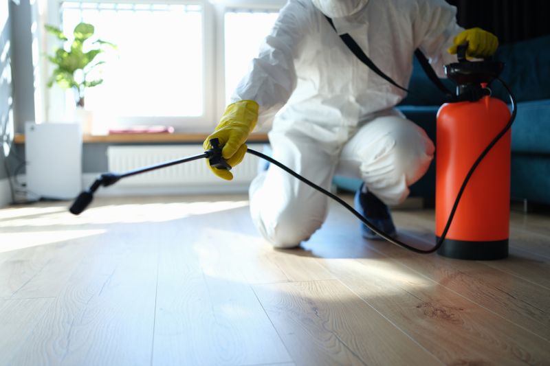 Common Pests That Invade Homes