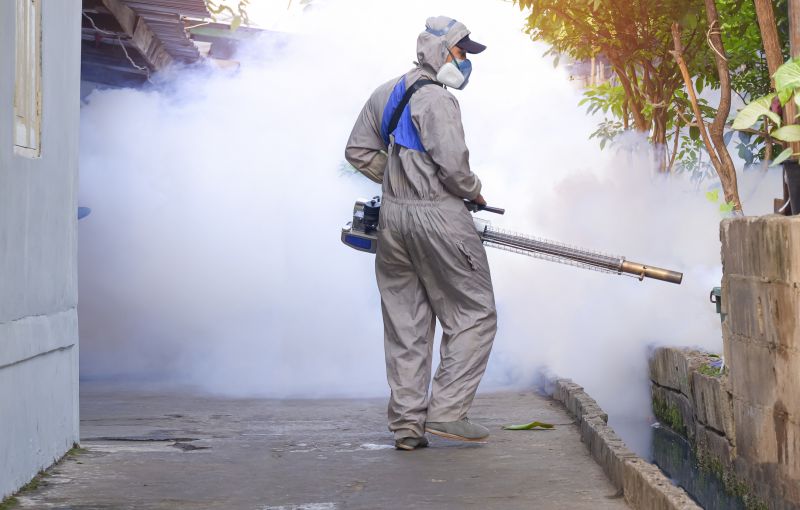 Fly And Mosquito Prevention Tips For Properties