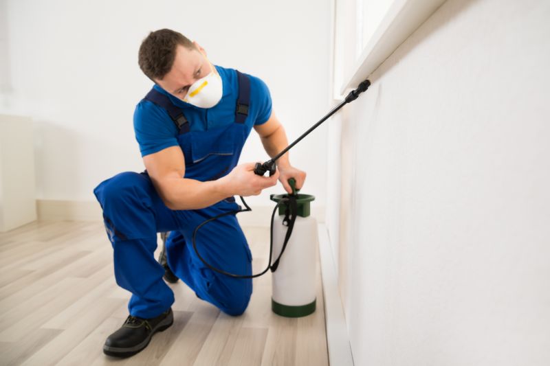 Preventing Spring Bug And Insect Infestations