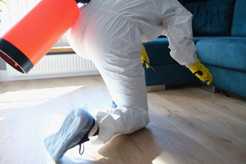 Signs You Need Professional General Pest Control Services