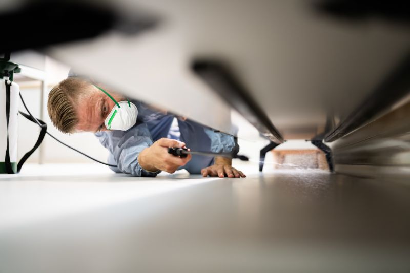 Signs You Need Professional General Pest Control Services