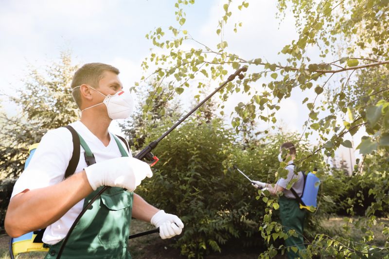 Spring Pest Management For Bug And Insect Control