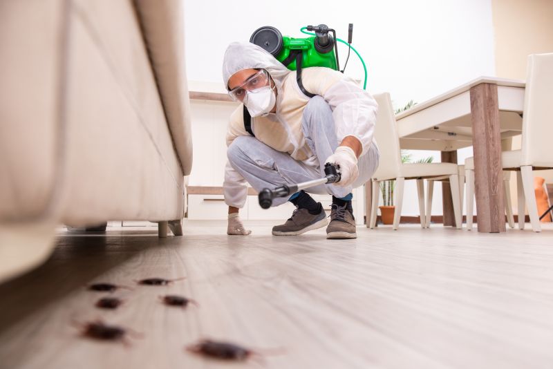 Wildlife Removal Vs. Pest Control: Understanding The Difference